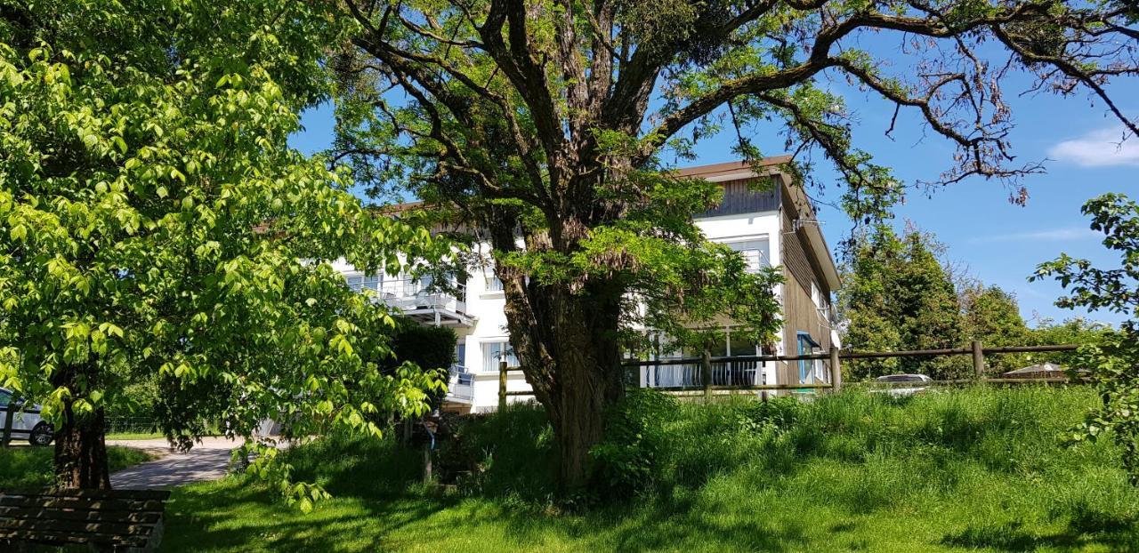 Apartament Le Panoramic Bains-les-Bains Zewnętrze zdjęcie