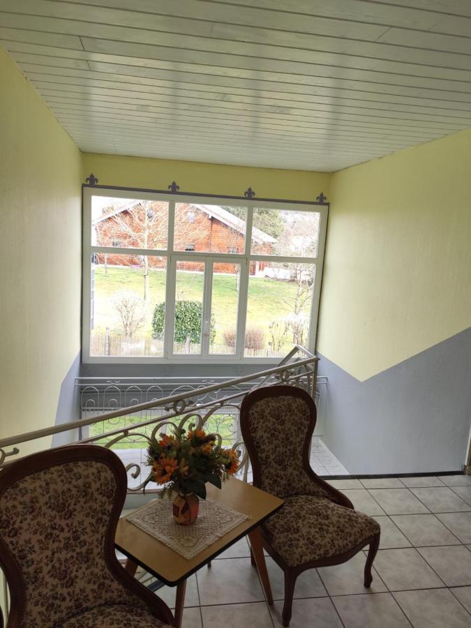 Apartament Le Panoramic Bains-les-Bains Zewnętrze zdjęcie